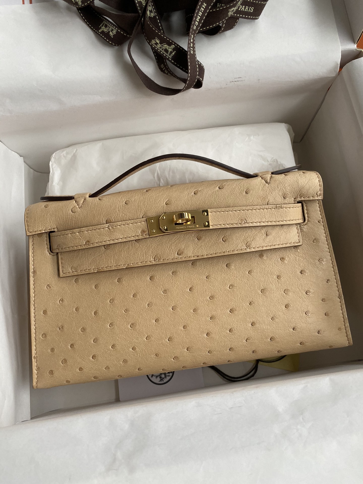 Hermes Mini Kelly Pochette 22cm Bag In Le Nude Ostrich Leather